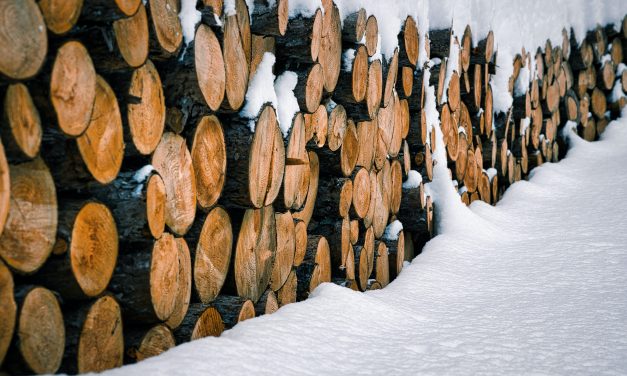 Combien de stère de bois pour 120m2 ?