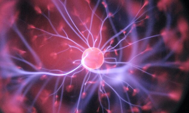 C&rsquo;est quoi le stock virtuel rentable ?